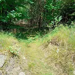 Forest House By Tisvilde Hegn On Natural Plot Nyaraló *