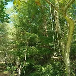 Forest House By Tisvilde Hegn On Natural Plot Nyaraló Frederiksværk
