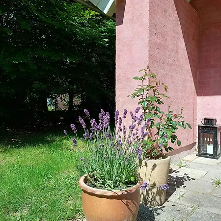 Forest House By Tisvilde Hegn On Natural Plot