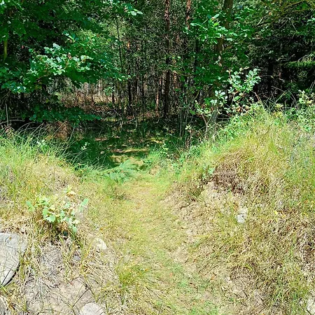 Forest House By Tisvilde Hegn On Natural Plot Nyaraló *