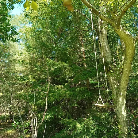 Forest House By Tisvilde Hegn On Natural Plot Ferienhaus Frederiksværk