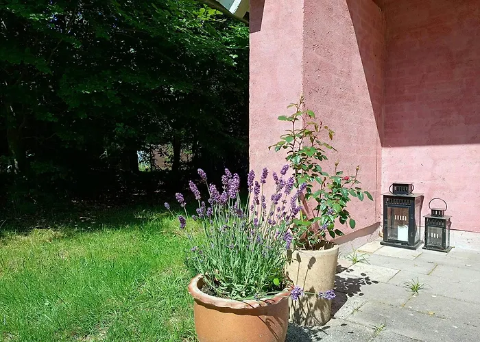 Forest House By Tisvilde Hegn On Natural Plot Ferienhaus *